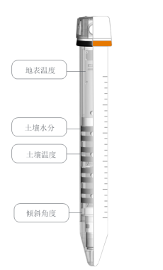 自動化安全監(jiān)測工程